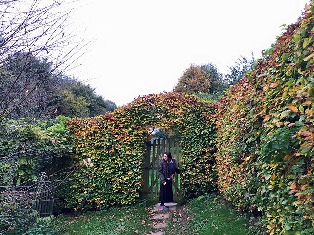 12196289_1189809941033689_1149247115694468419_n[2]