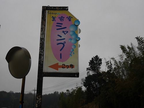 P1000120