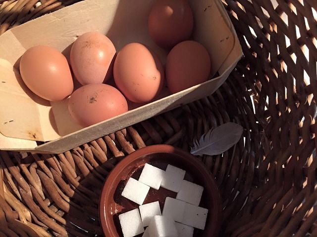 12187739_1189810387700311_4761312108516650239_n[1]