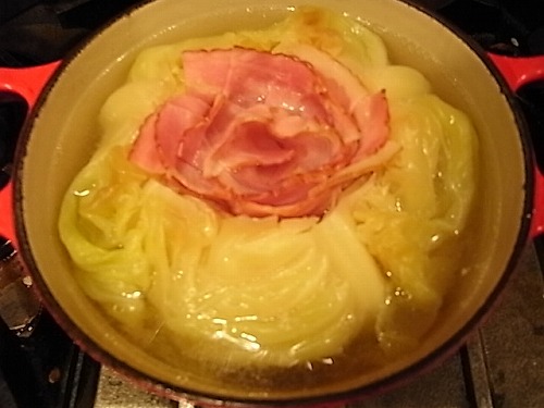 RIMG7881