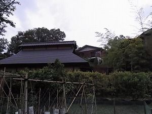 RIMG0530.jpg