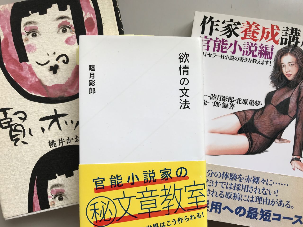 第517歩 欲情の文法 睦月影郎著 星海社 自宅で立ち読み 東京ビブリオバトルバイリンガルを主催する大嶋友秀がすすめる本のブログ 第517歩 欲情の文法 睦月影郎著 星海社 自宅で立ち読み 東京ビブリオバトルバイリンガルを主催する大嶋友秀がすすめる本のブログ