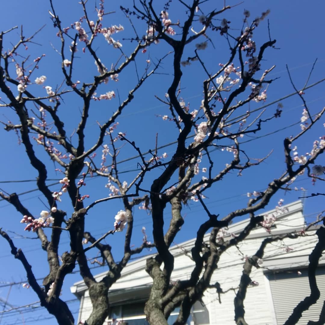 IMG_20190308_104819_005