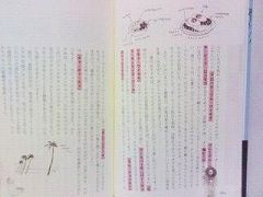 ワイキキのルール02