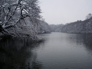 未読本20110212