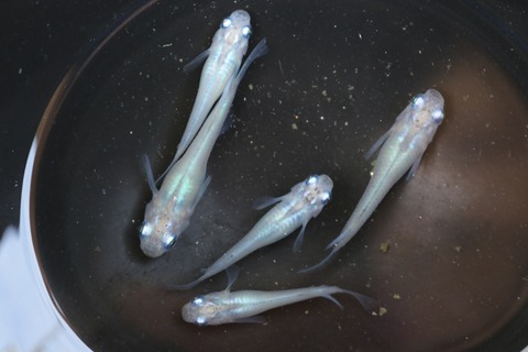 20180521133105_IMG_5816