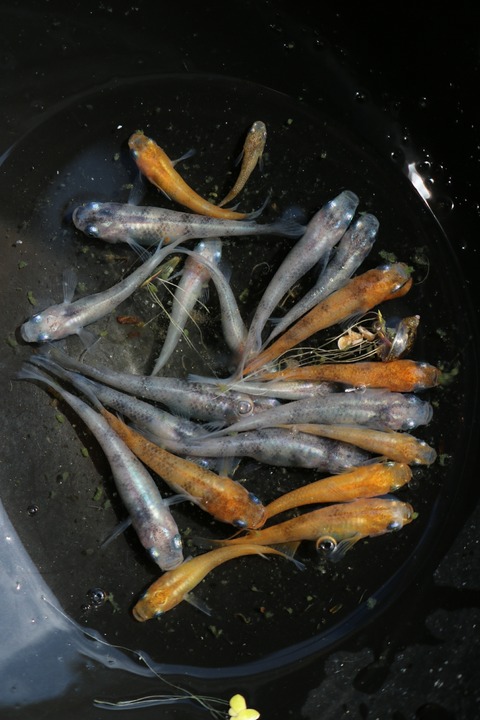 20180521145826_IMG_5833