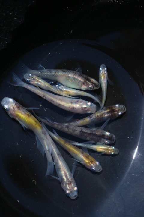 20180522141320_IMG_5880