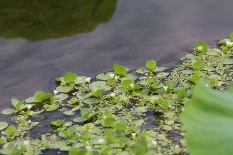 20200909103255_1V5A2302