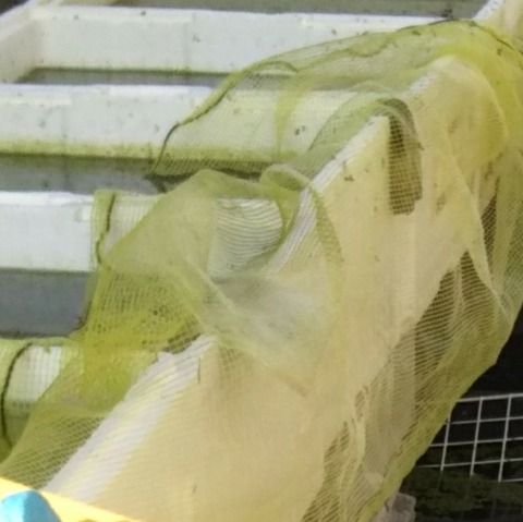 [画像:02e20791-s.jpg]