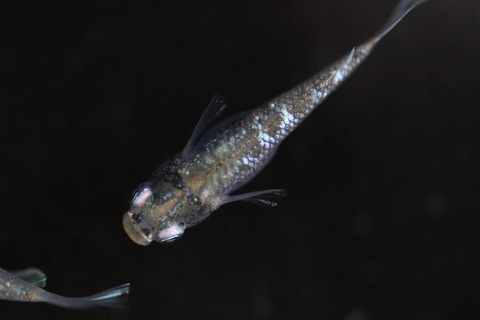 20190809182233_1V5A8651