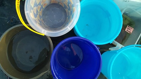 IMG_20200211_164234_545