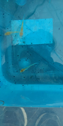 Capture_200127_104859_20200127_203750