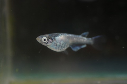 20190311175524_IMG_4497