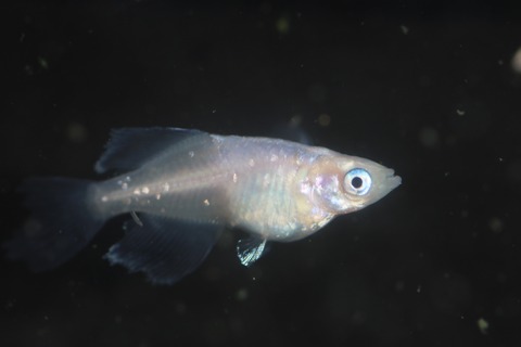 20200211162157_IMG_9847