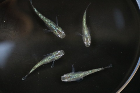 20180821123055_IMG_8241