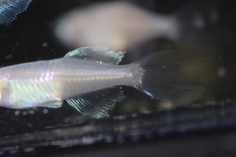 20200211162526_IMG_9871