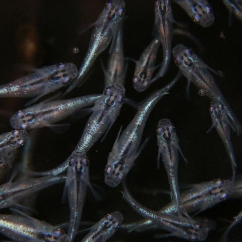 [画像:07b84b6f-s.jpg]