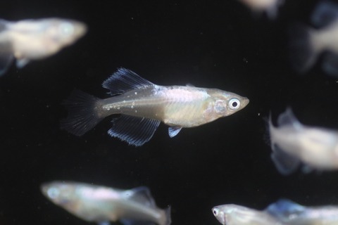 20190712172237_1V5A7414