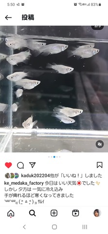 Screenshot_20241109-055052_Instagram