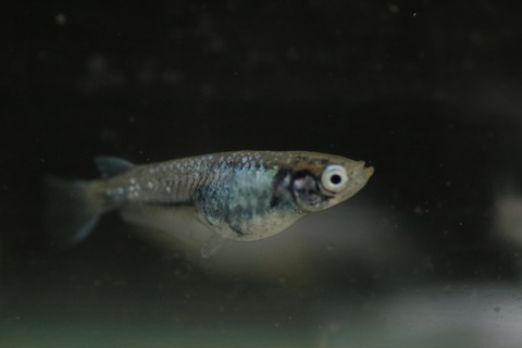 20190311175814_IMG_4514