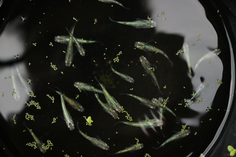 20180815163925_IMG_8176