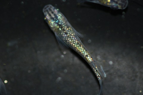 20200331104034_1V5A9345