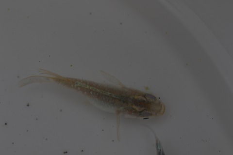 20200315125821_1V5A8888