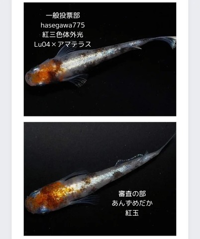 IMG_20240508_100855_232