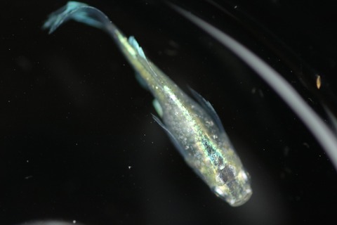 20200918143627_IMG_3502