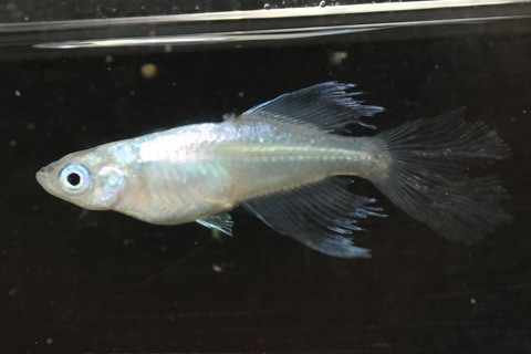 20190413122605_IMG_6188