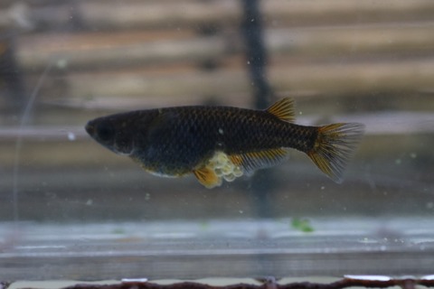 20190429184347_IMG_6747