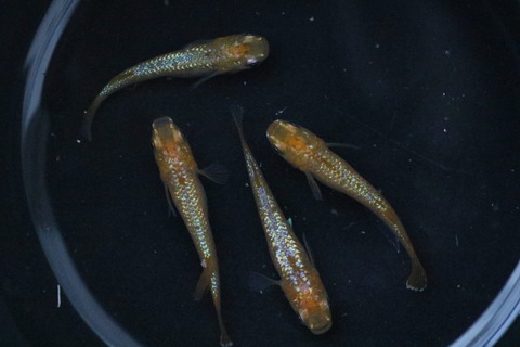 20220906170953_1V5A4087