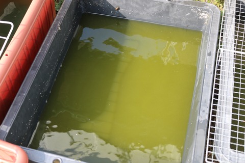 20180222143126_IMG_3498