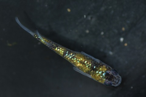 20200322120500_1V5A9158