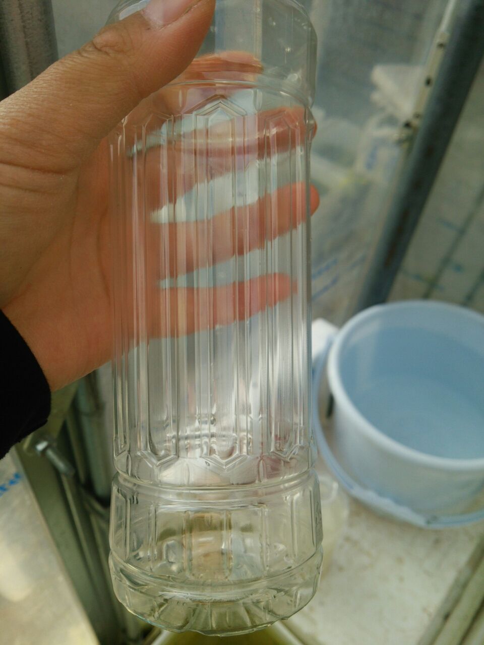 ゾウリムシの沸かせかたー 凸凹めだか凸凹 ゾウリムシの沸かせかたー 凸凹めだか凸凹