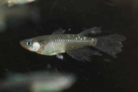 20200302160610_1V5A8289