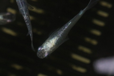 20210227102359_1V5A9937