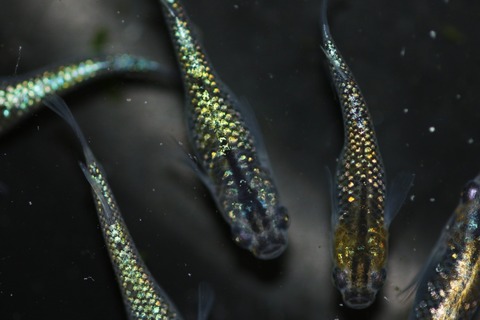 20200331104004_1V5A9342