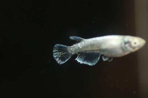 20190323111119_IMG_5256