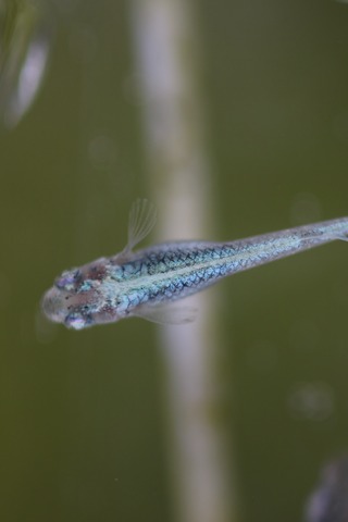 20200124112051_IMG_9726