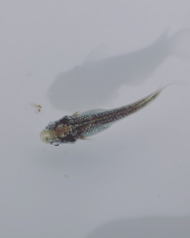 IMG_20200225_111416_009