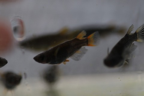 20190726183336_1V5A7870