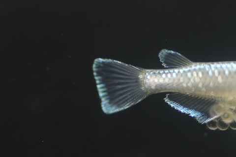 20190429113342_IMG_6654