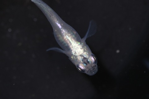 20200219143654_IMG_9959