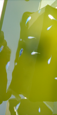 Screenshot_20190825-172533