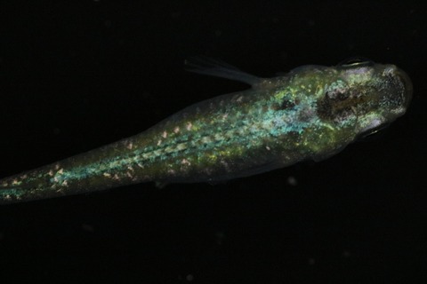 20211116112120_1V5A2670