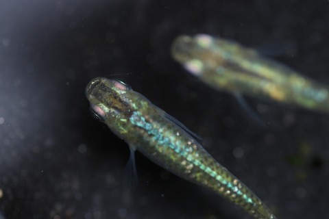 20190414115620_IMG_6215