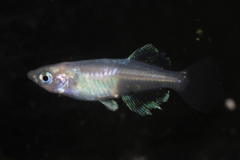 20200211162222_IMG_9851