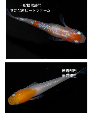 見出しを追加_20240508_073433_0000